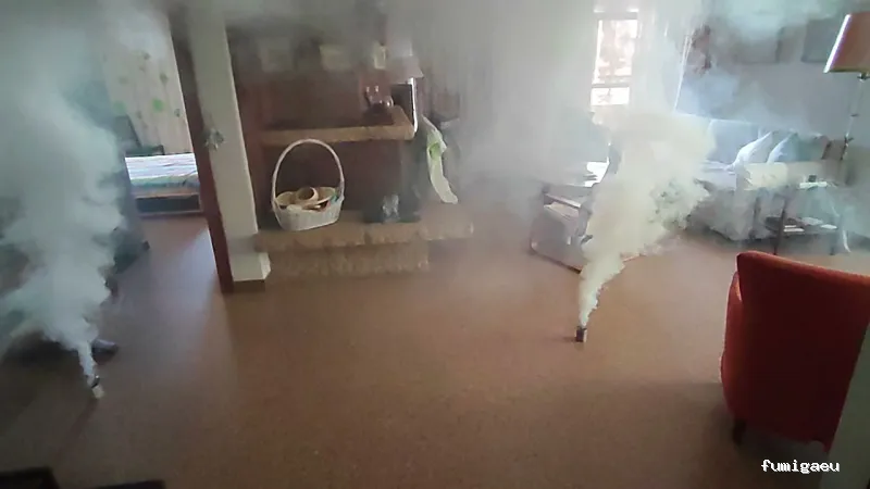 RapiPlaga Control de Plagas Málaga