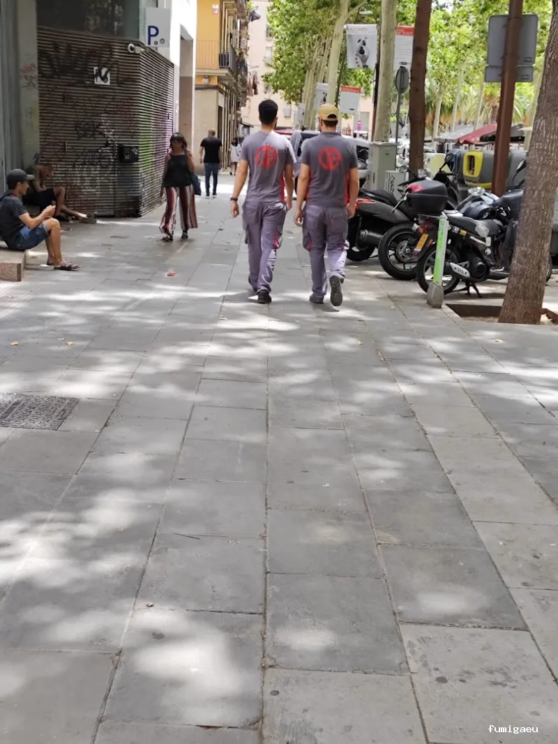 Desert Service - Empresa multiservicios