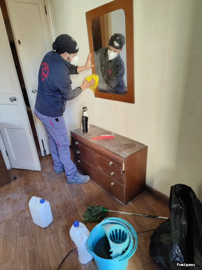 Desert Service - Empresa multiservicios