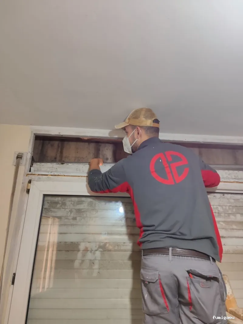 Desert Service - Empresa multiservicios