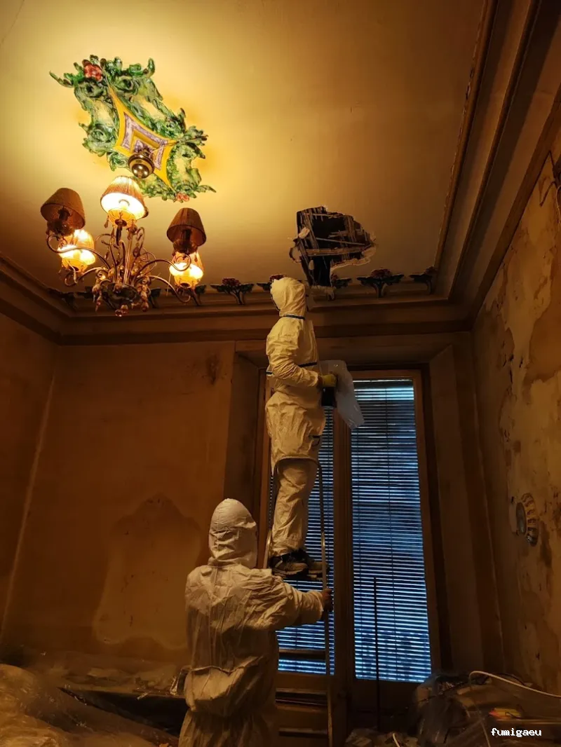 Desert Service - Empresa multiservicios