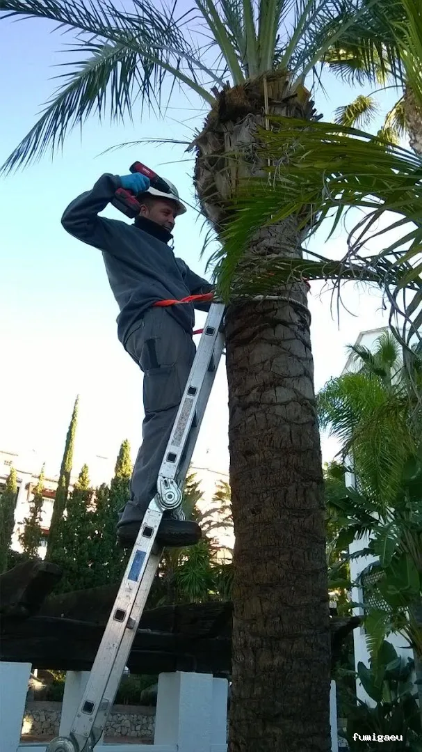 Control de plagas en Málaga - Contraplagas Ambiental