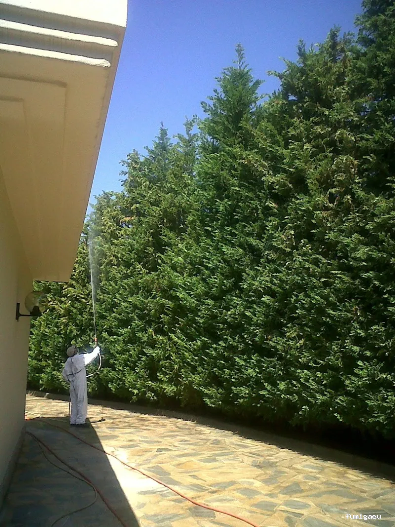 Control de plagas en Málaga - Contraplagas Ambiental