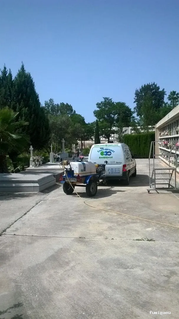 Control de plagas en Málaga - Contraplagas Ambiental