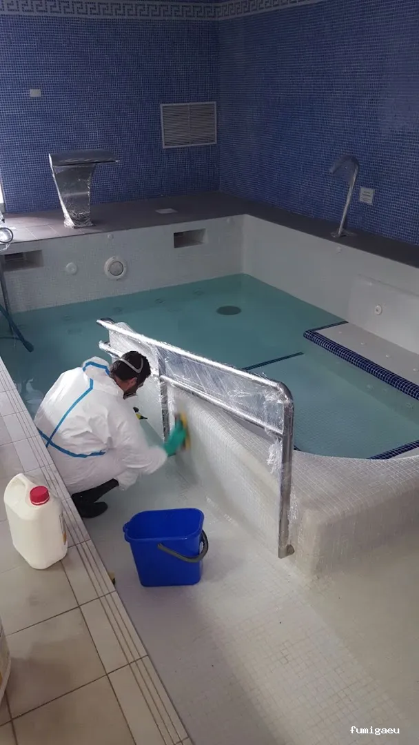 Control de plagas en Málaga - Contraplagas Ambiental