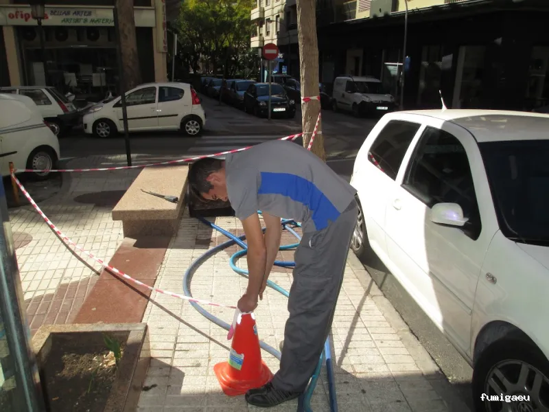 Control de plagas en Málaga - Contraplagas Ambiental