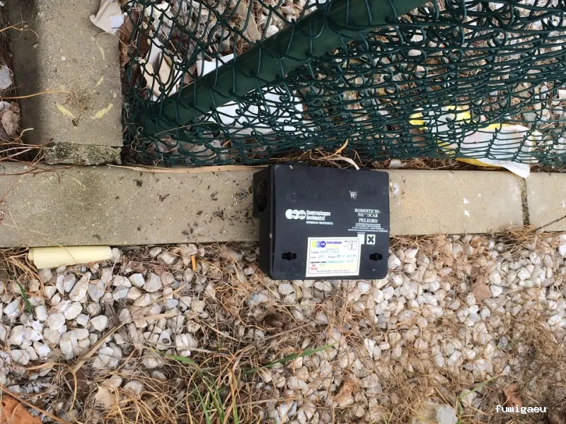 Control de plagas en Málaga - Contraplagas Ambiental