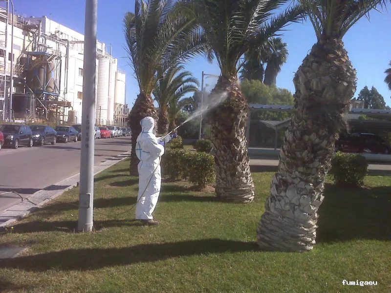 Control de plagas en Málaga - Contraplagas Ambiental