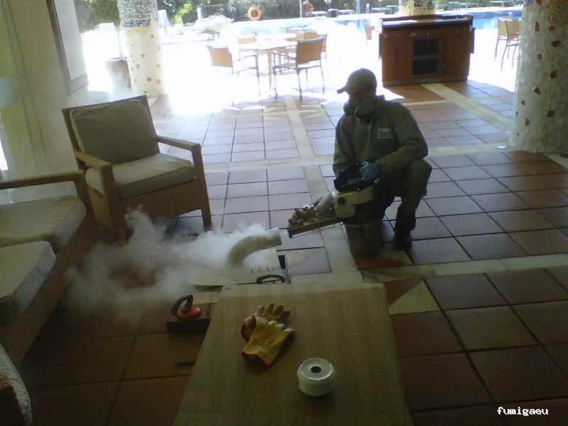 Control de plagas en Málaga - Contraplagas Ambiental