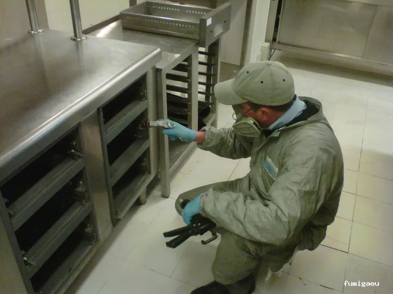 Control de plagas en Málaga - Contraplagas Ambiental