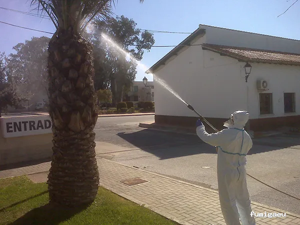 Control de plagas en Málaga - Contraplagas Ambiental