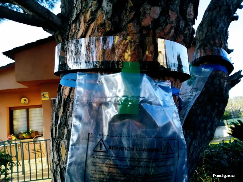 Extin Control de Plagues