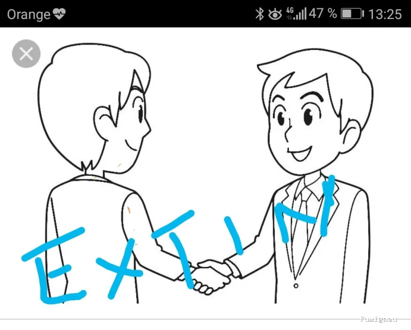 Extin Control de Plagues