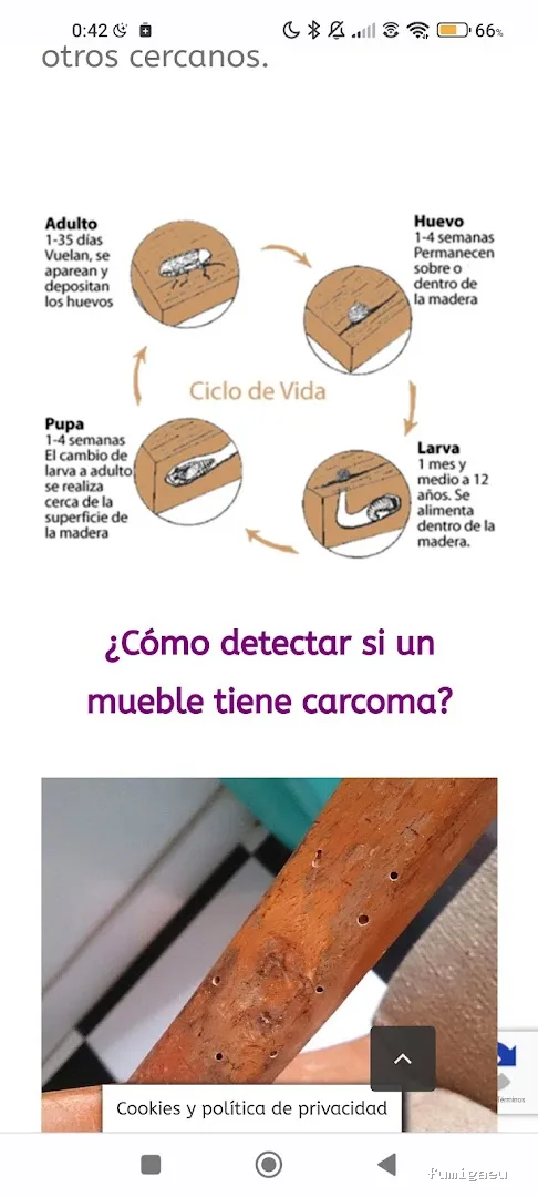 Extin Control de Plagues