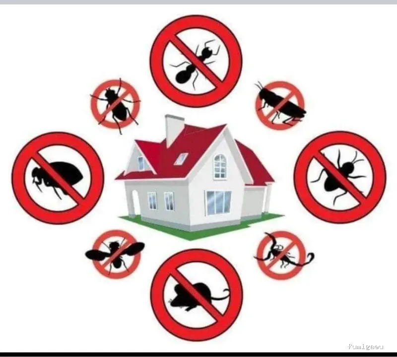 Extin Control de Plagues