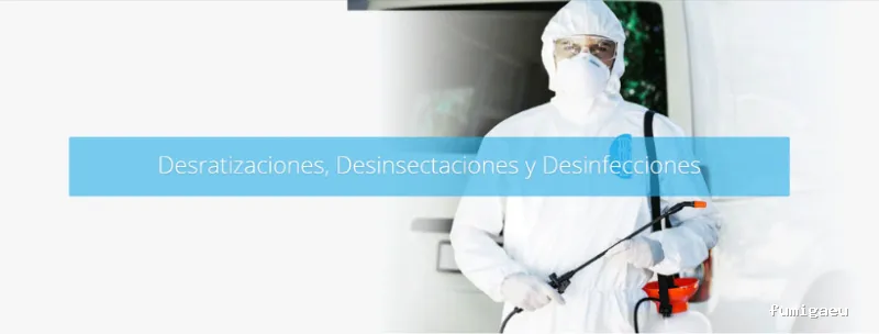 DDT Torrevieja plagas Torrevieja