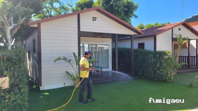 DDT Torrevieja plagas Torrevieja