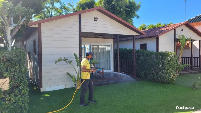 DDT Torrevieja plagas Torrevieja