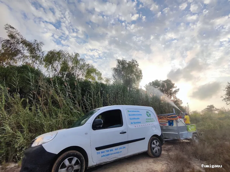 DDT Torrevieja plagas Torrevieja