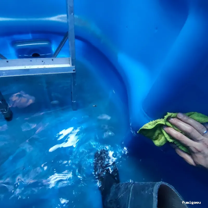 DDT Torrevieja plagas Torrevieja