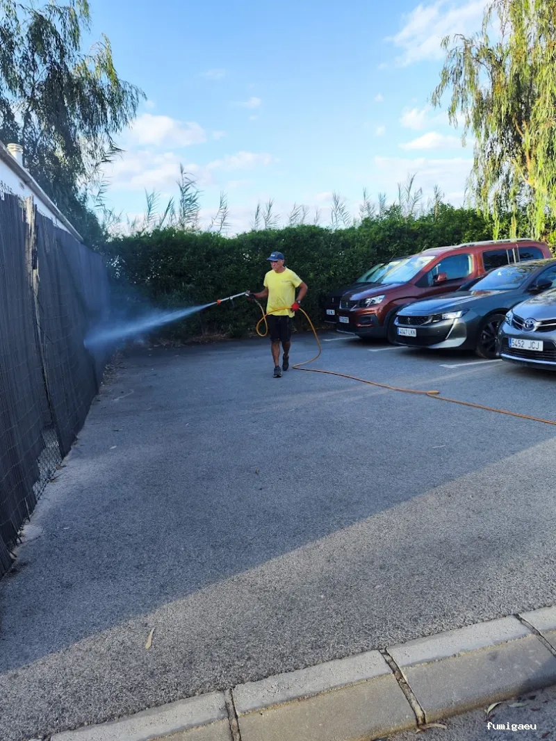 DDT Torrevieja plagas Torrevieja