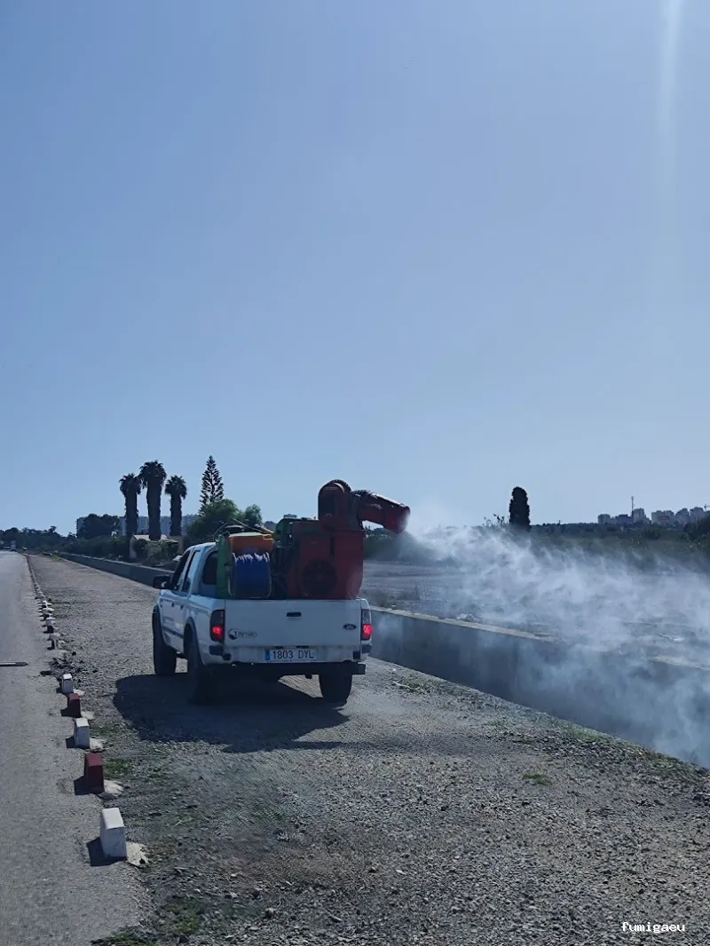 DDT Torrevieja plagas Torrevieja