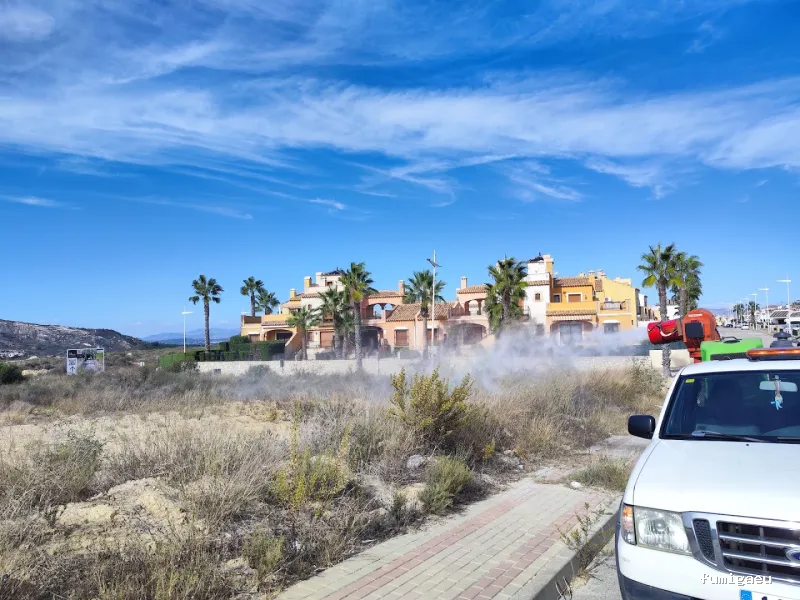 DDT Torrevieja plagas Torrevieja