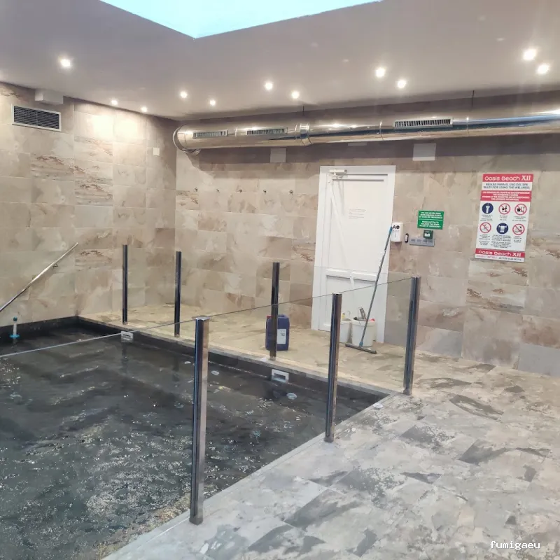 DDT Torrevieja plagas Torrevieja