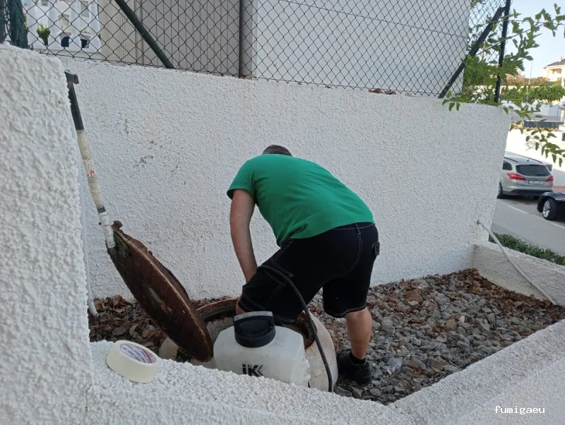 DDT Torrevieja plagas Torrevieja