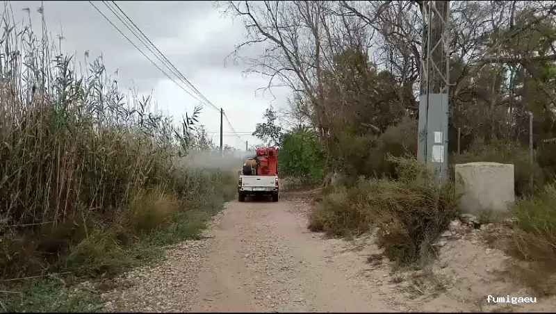 DDT Torrevieja plagas Torrevieja