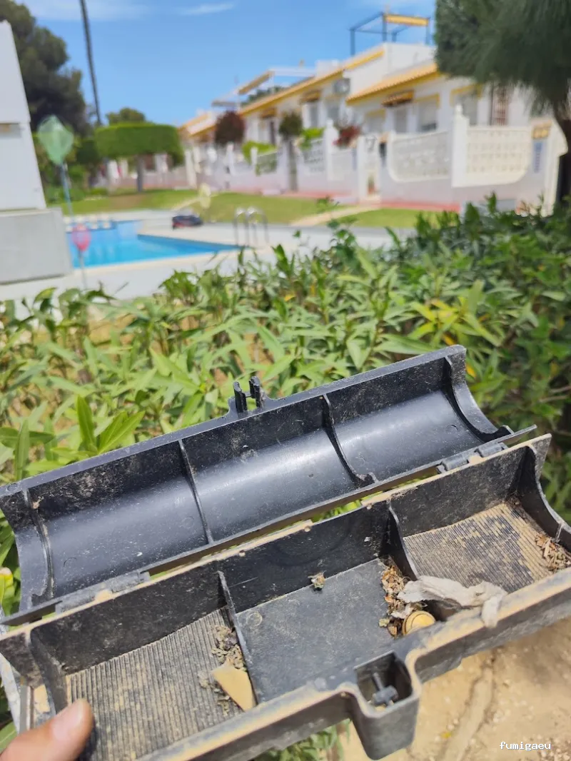 DDT Torrevieja plagas Torrevieja