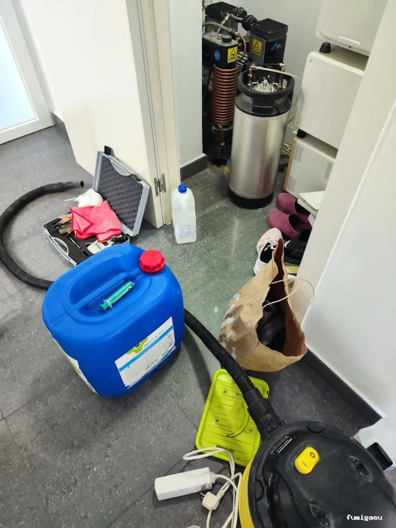 DDT Torrevieja plagas Torrevieja