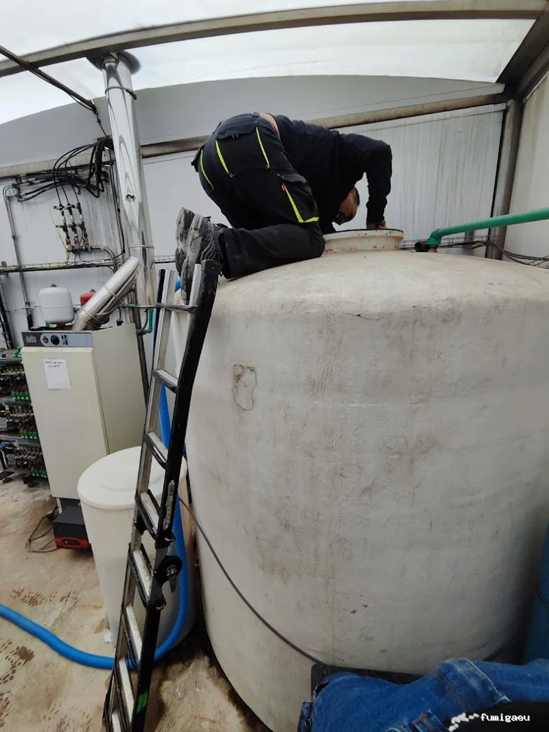 DDT Torrevieja plagas Torrevieja