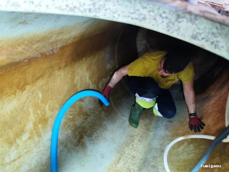 DDT Torrevieja plagas Torrevieja