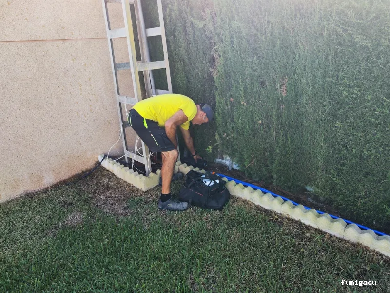 DDT Torrevieja plagas Torrevieja