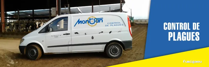 MONTSAN - AMBIENT SERVEI