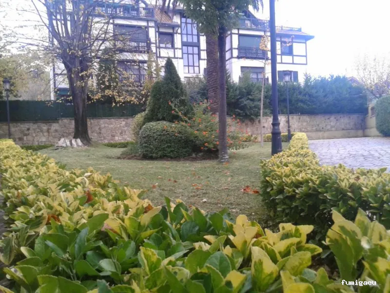 Limpiezas Areeta - Empresa Limpieza