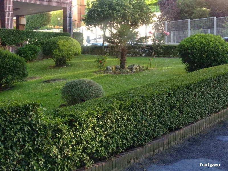 Limpiezas Areeta - Empresa Limpieza