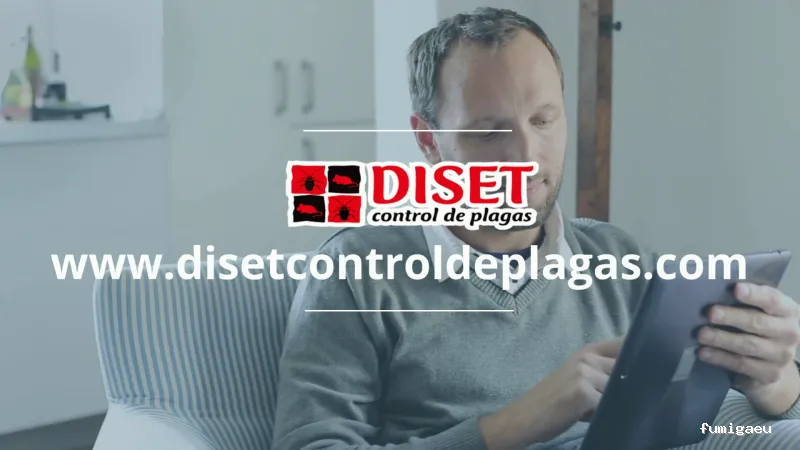 Diset Control Plagas el Prat