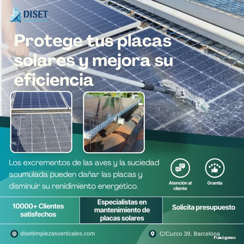 Diset Control Plagas el Prat