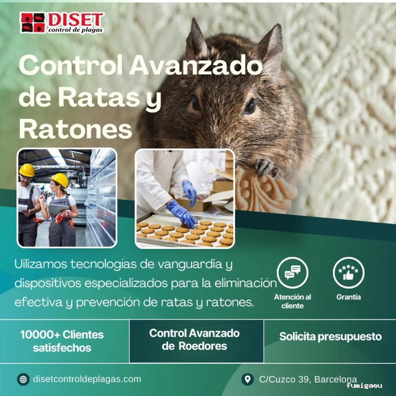 Diset Control Plagas el Prat