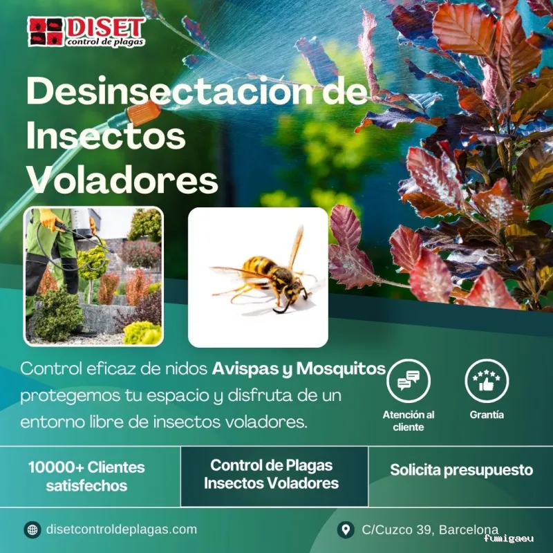 Diset Control Plagas el Prat