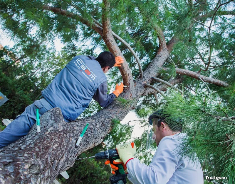 ICSAM, control de plagas y formación especializada