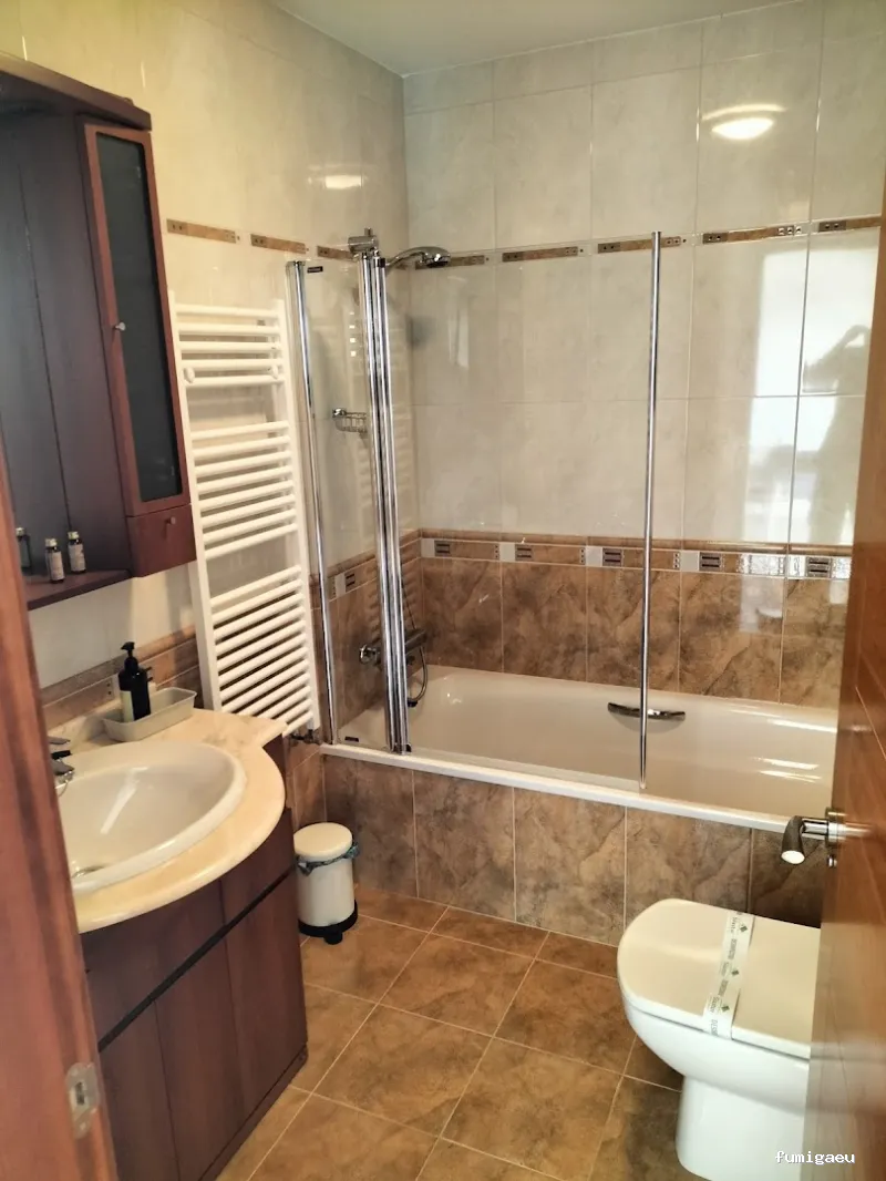 Servicios y Mantenimientos Asturias SYLMA