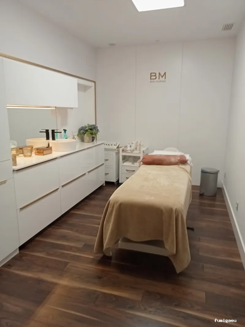 Servicios y Mantenimientos Asturias SYLMA