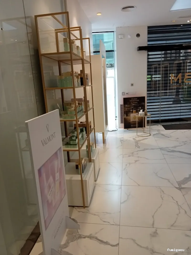 Servicios y Mantenimientos Asturias SYLMA