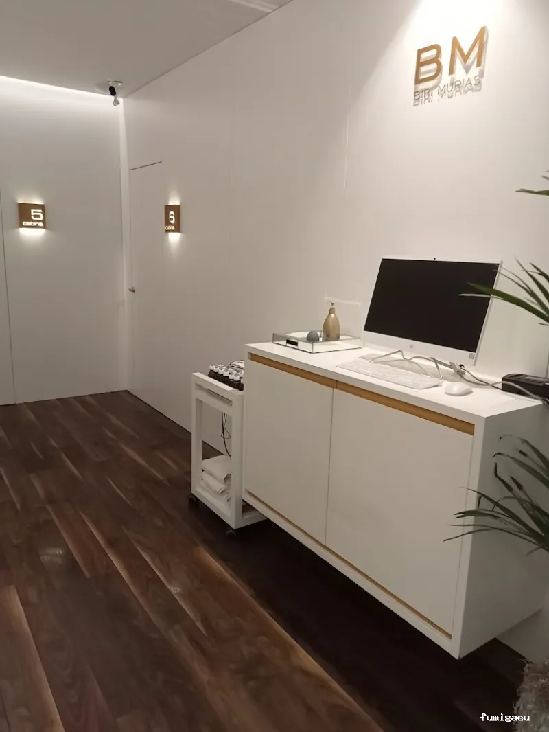 Servicios y Mantenimientos Asturias SYLMA