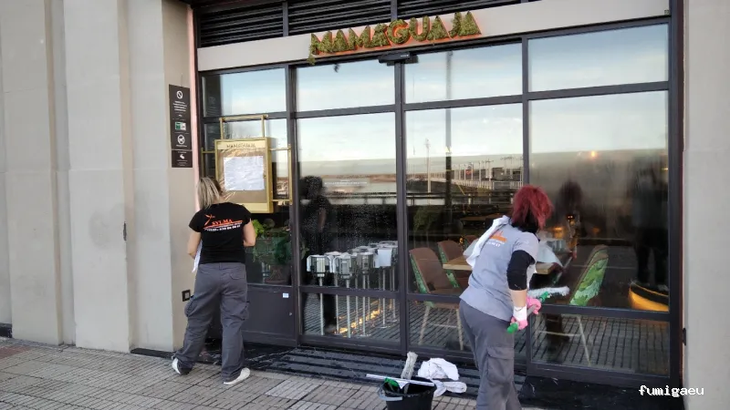 Servicios y Mantenimientos Asturias SYLMA