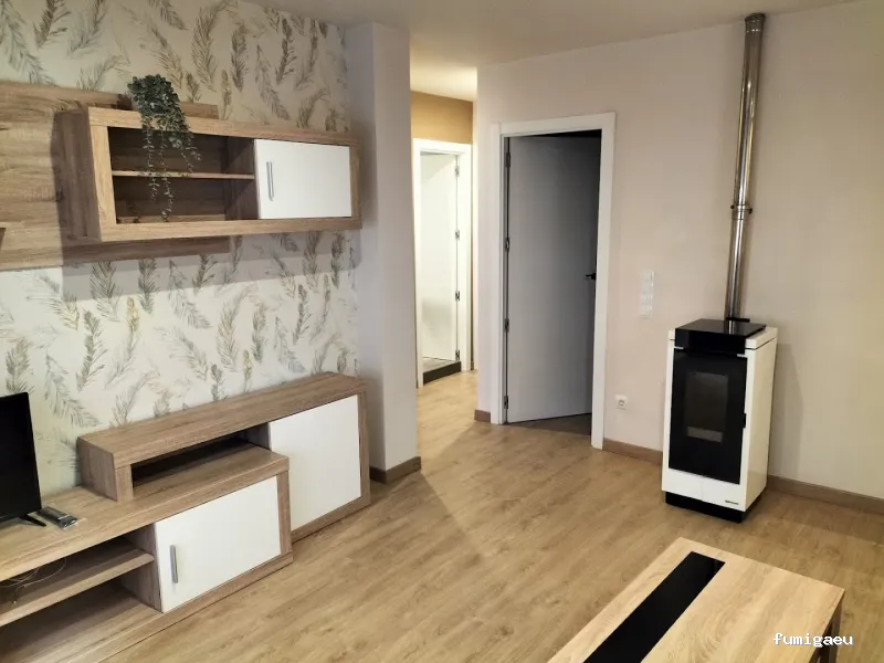 Servicios y Mantenimientos Asturias SYLMA