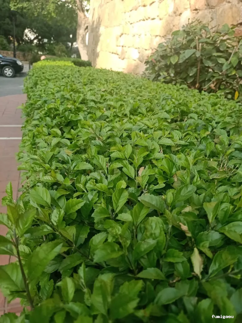 Aplicaciones Bioquímicas S.L.